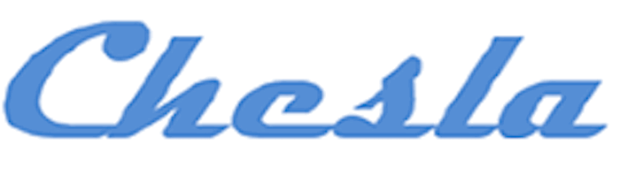 Chesla gitlab on-prem server 